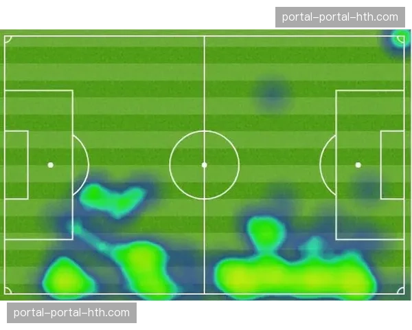 热力图显示，本场大部分射门发生在禁区左侧肋部